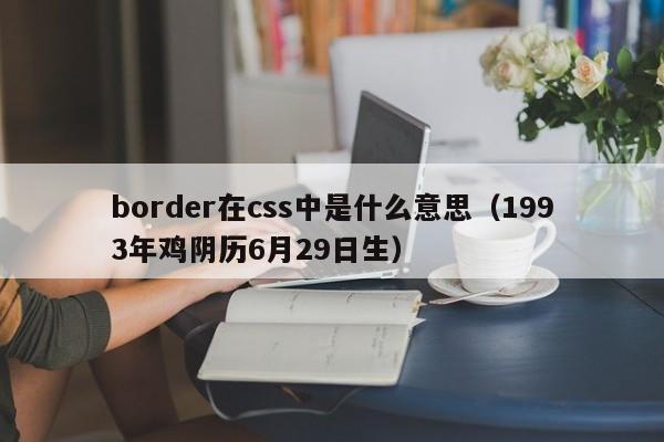 border在css中是什么意思(1993年鸡阴历6月29日生)