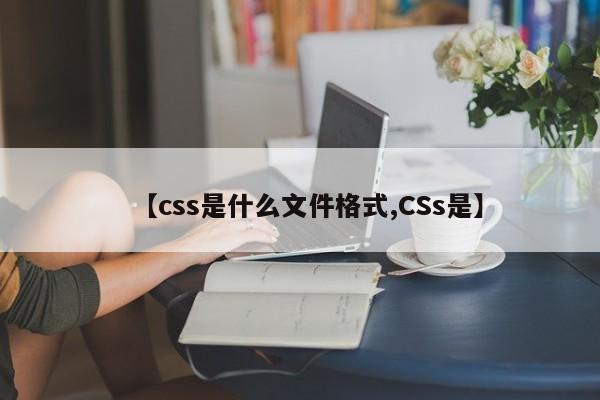 【css是什么文件格式,CSs是】
