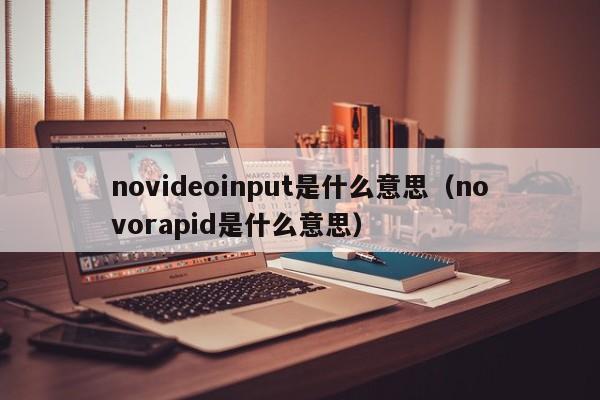novideoinput是什么意思(novorapid是什么意思)