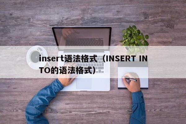 insert语法格式(INSERT INTO的语法格式)