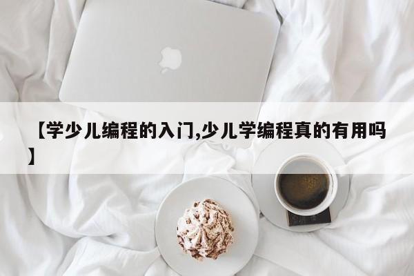 【学少儿编程的入门,少儿学编程真的有用吗】