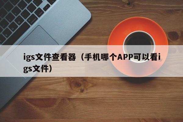 igs文件查看器(手机哪个APP可以看igs文件)