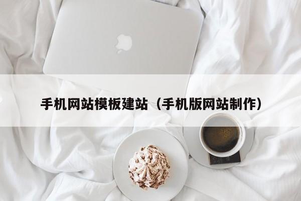 手机网站模板建站(手机版网站制作)