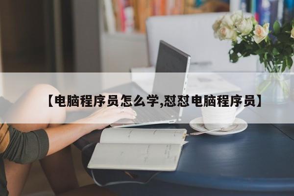 【电脑程序员怎么学,怼怼电脑程序员】