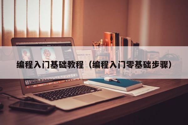 编程入门基础教程(编程入门零基础步骤)
