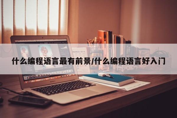 什么编程语言最有前景/什么编程语言好入门