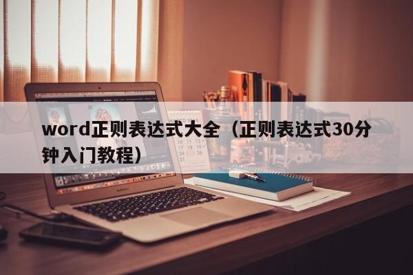 word正则表达式大全(正则表达式30分钟入门教程)