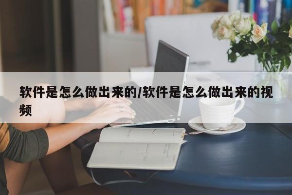 软件是怎么做出来的/软件是怎么做出来的视频