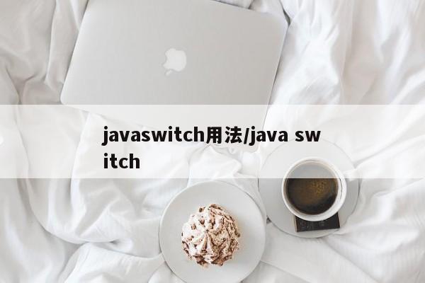 javaswitch用法/java switch