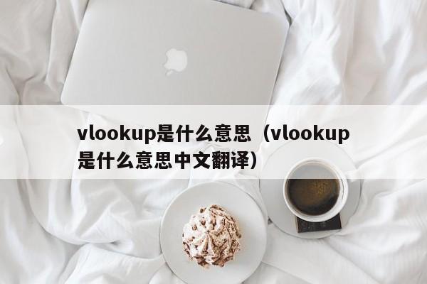 vlookup是什么意思(vlookup是什么意思中文翻译)