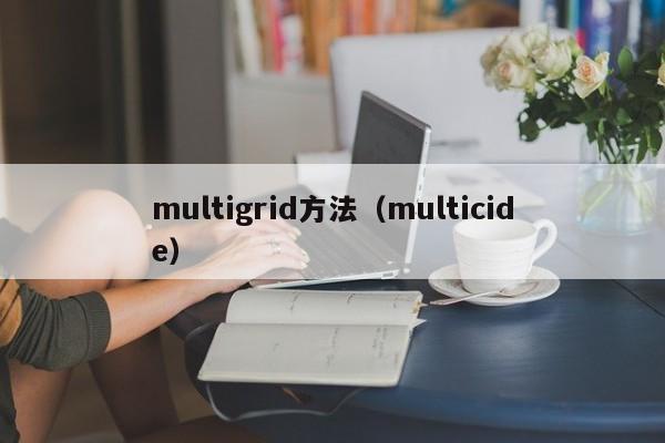 multigrid方法(multicide)