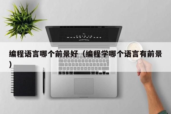 编程语言哪个前景好(编程学哪个语言有前景)