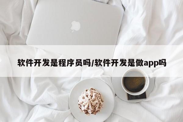 软件开发是程序员吗/软件开发是做app吗