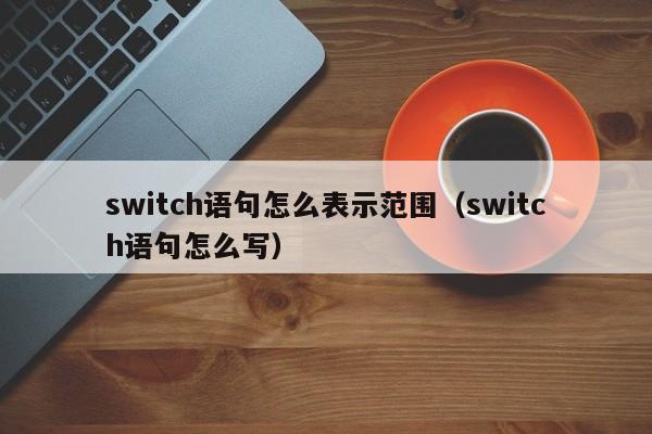 switch语句怎么表示范围(switch语句怎么写)