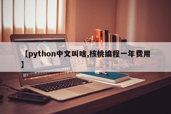 【python中文叫啥,核桃编程一年费用】