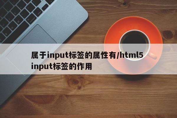属于input标签的属性有/html5 input标签的作用