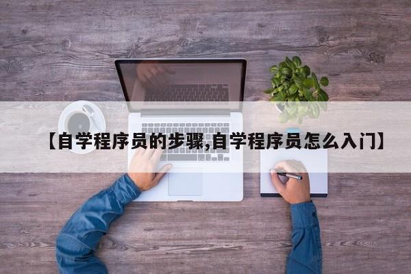 【自学程序员的步骤,自学程序员怎么入门】