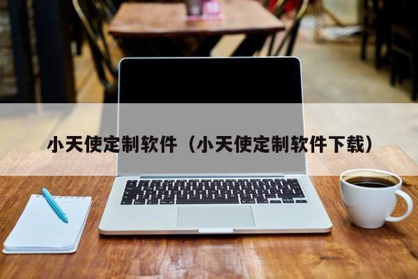小天使定制软件(小天使定制软件下载)