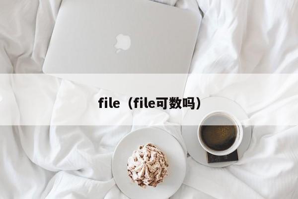 file(file可数吗)
