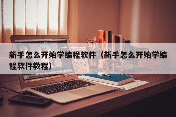 新手怎么开始学编程软件(新手怎么开始学编程软件教程)