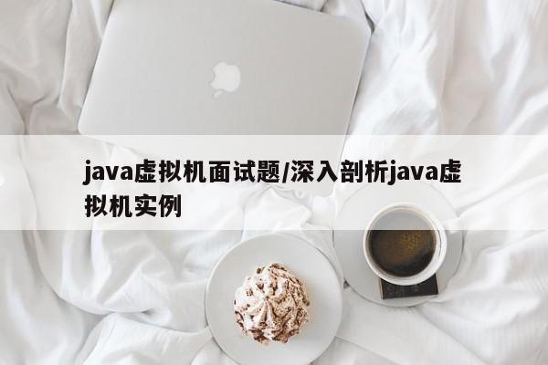 java虚拟机面试题/深入剖析java虚拟机实例