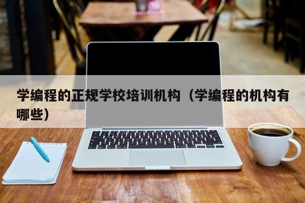 学编程的正规学校培训机构(学编程的机构有哪些)