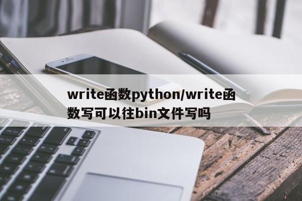 write函数python/write函数写可以往bin文件写吗