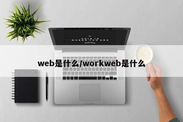 web是什么/workweb是什么