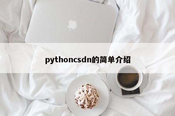 pythoncsdn的简单介绍
