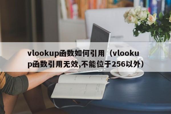 vlookup函数如何引用(vlookup函数引用无效,不能位于256以外)