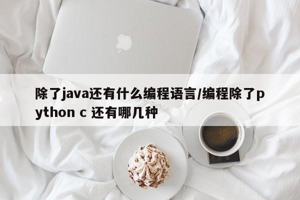 除了java还有什么编程语言/编程除了python c 还有哪几种