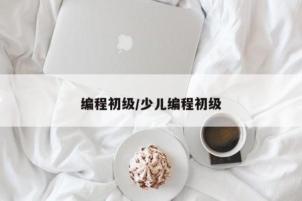 编程初级/少儿编程初级