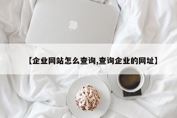 【企业网站怎么查询,查询企业的网址】