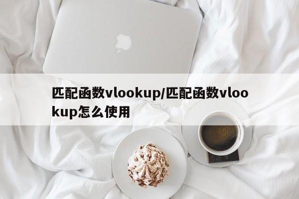 匹配函数vlookup/匹配函数vlookup怎么使用