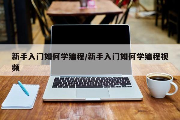 新手入门如何学编程/新手入门如何学编程视频