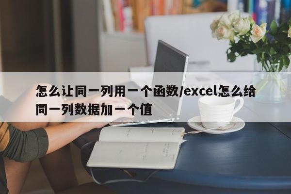 怎么让同一列用一个函数/excel怎么给同一列数据加一个值
