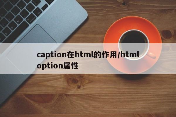 caption在html的作用/htmloption属性