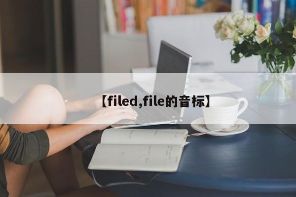 【filed,file的音标】