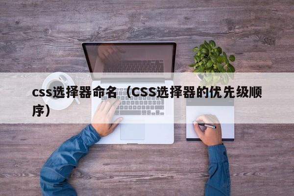 css选择器命名(CSS选择器的优先级顺序)