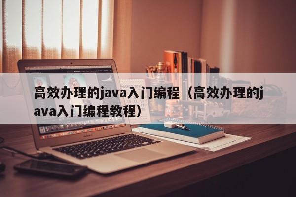 高效办理的java入门编程(高效办理的java入门编程教程)