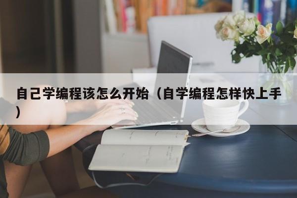 自己学编程该怎么开始(自学编程怎样快上手)