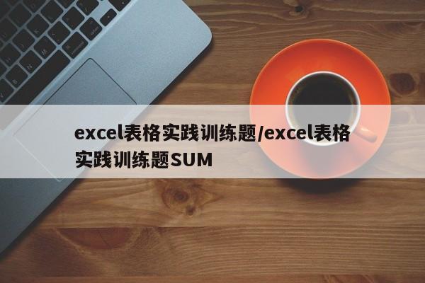 excel表格实践训练题/excel表格实践训练题SUM
