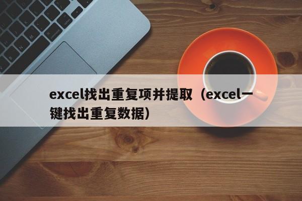 excel找出重复项并提取(excel一键找出重复数据)