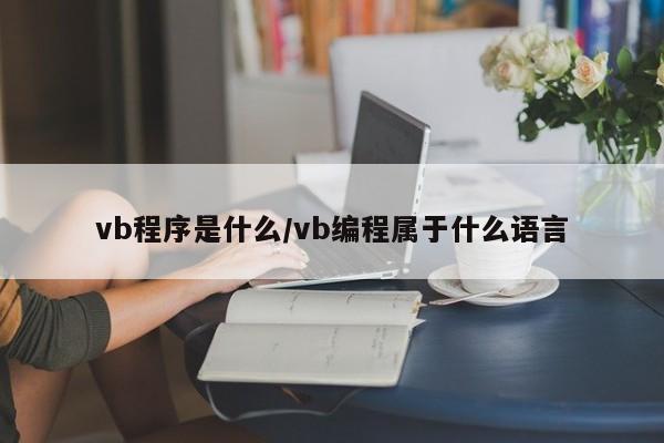 vb程序是什么/vb编程属于什么语言