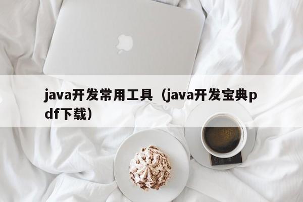 java开发常用工具(java开发宝典pdf下载)