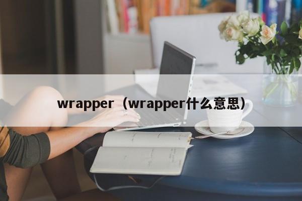 wrapper(wrapper什么意思)