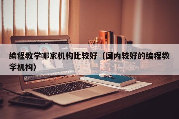 编程教学哪家机构比较好(国内较好的编程教学机构)