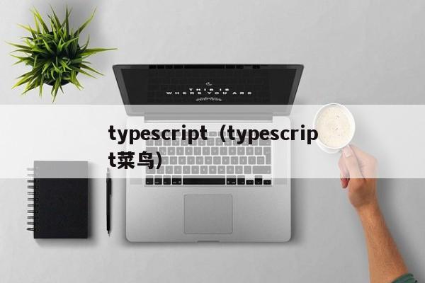 typescript(typescript菜鸟)