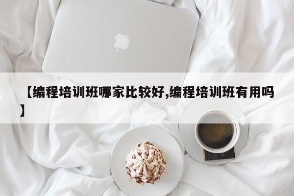 【编程培训班哪家比较好,编程培训班有用吗】