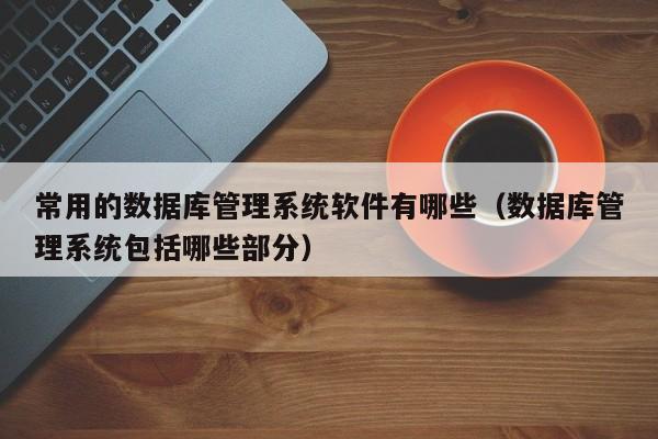 常用的数据库管理系统软件有哪些(数据库管理系统包括哪些部分)